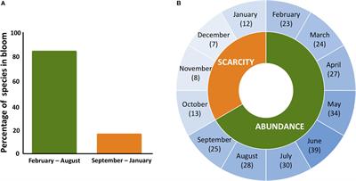 Honey Bees in the Tropics Show Winter Bee-Like Longevity in Response to Seasonal Dearth and Brood Reduction